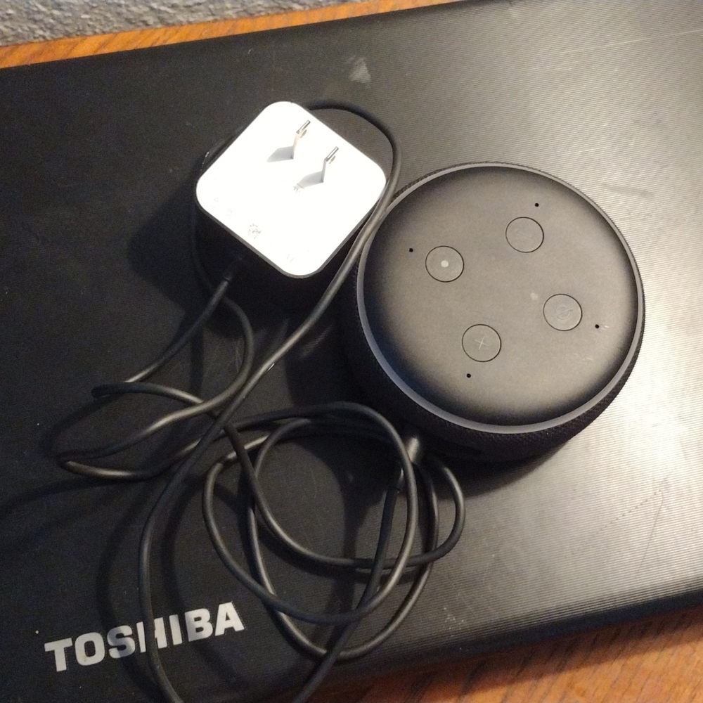 Alexa - Picture 4 of 4